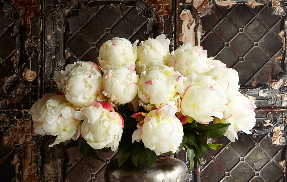 interior lifestyle photography for Abigail Ahern Flower store by Graham Atkins-Hughes Photographer London