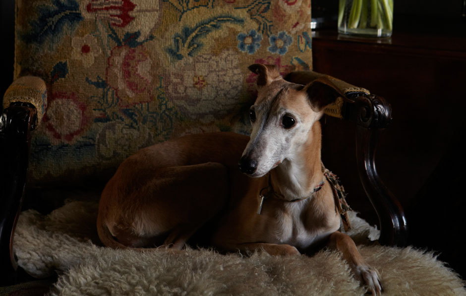 Seated on the fireside chair shot by Graham Atkins-Hughes Lifestyle & Interiors Photographer